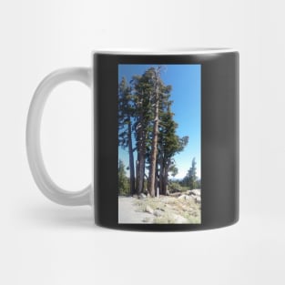 California Mug